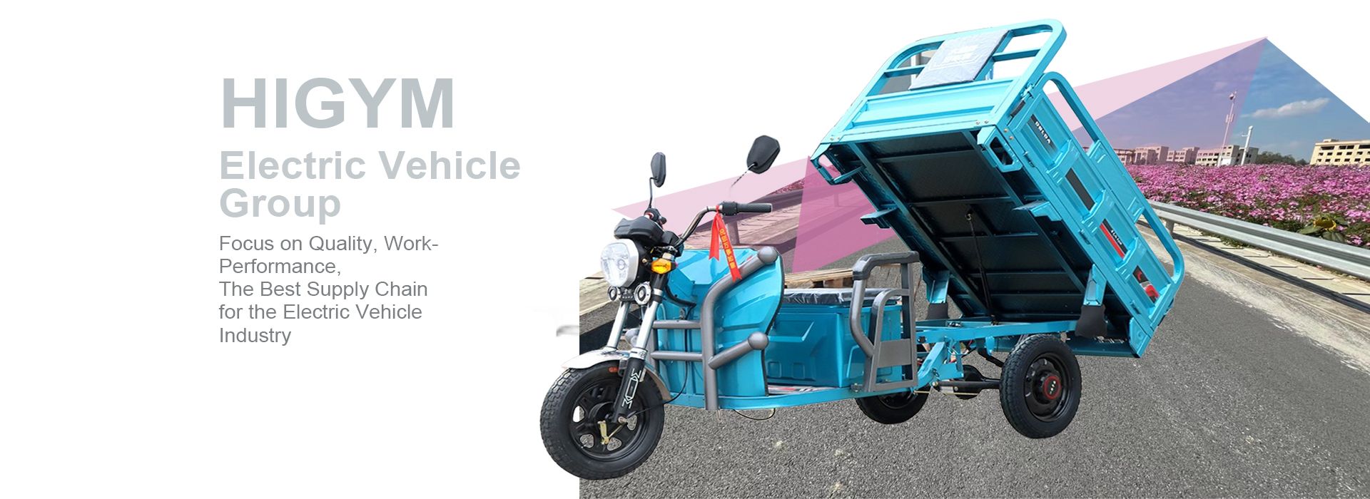 Electric Cargo Tricycle