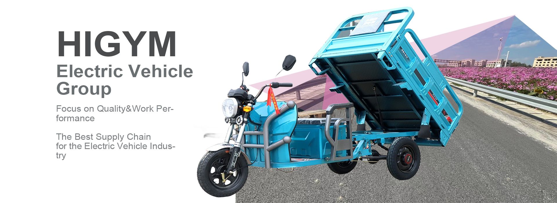 Electric Cargo Tricycle