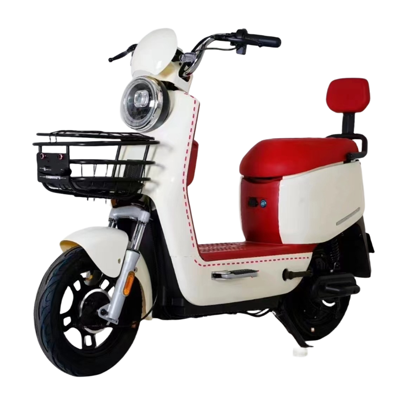 XingZuan<br>500W 48V20Ah<br>Electric bicycle