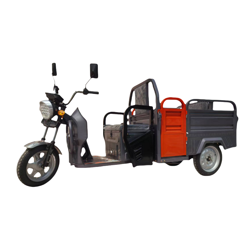 Passenger and cargo dual-use 700W 60V32AH Rated load weight 300KG