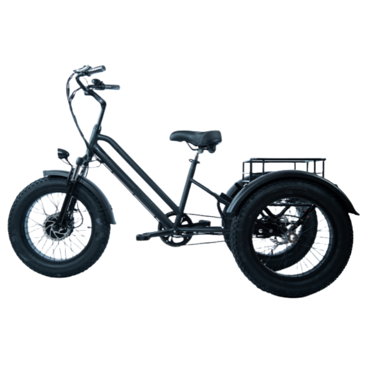 DW1703<br>750W 48V18.2AH<br>Lithium E-bike