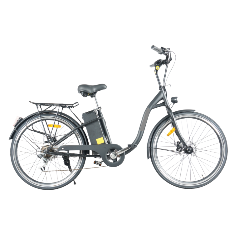 DW7304<br>250W 36V10.4AH<br>Lithium E-bike