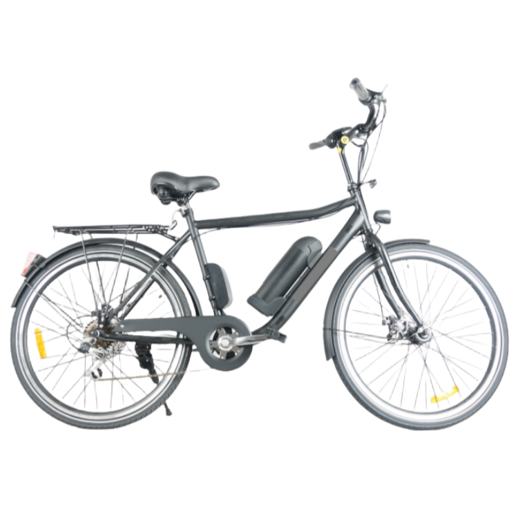 DW7707<br>250W 36V10.4AH<br>Lithium E-bike