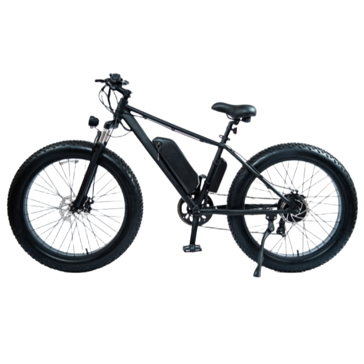 DW8709<br>750W 48V13AH<br>Lithium E-bike